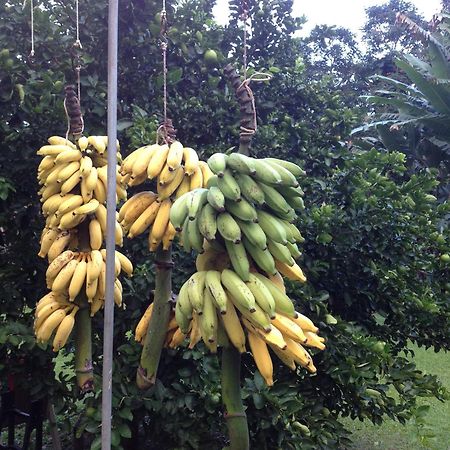 Heavenly Hana Paradise Bagian luar foto