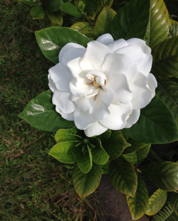 Heavenly Hana Paradise Ruang foto